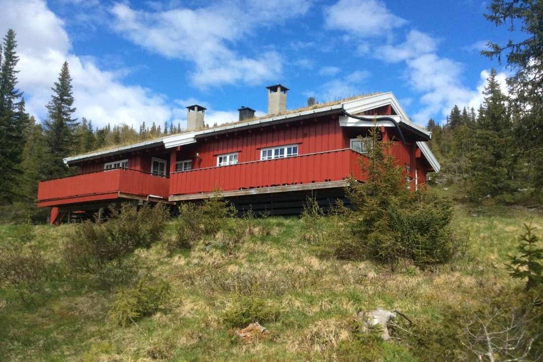 Photo of Buildings in Gala
