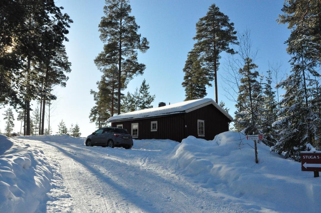 Photo of Others in Overbyn
