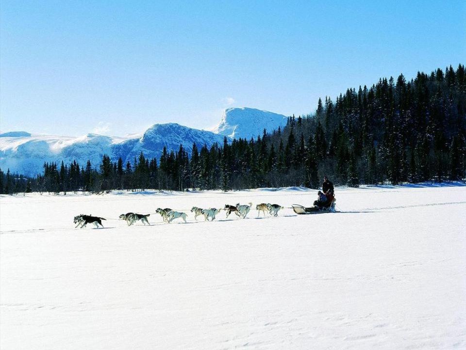 Photo of Others in Hemsedal