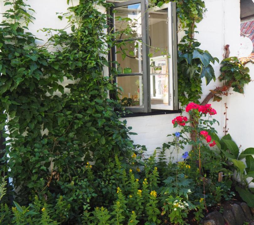 Photo of Buildings in Viken