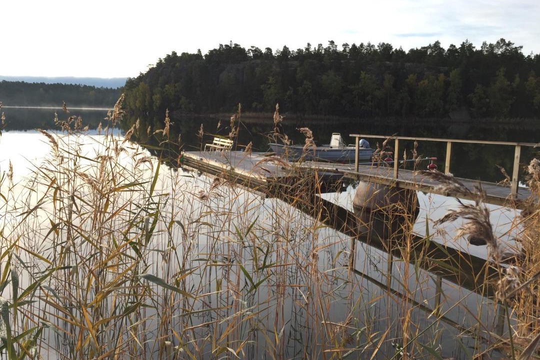 Photo of Others in Odkarby