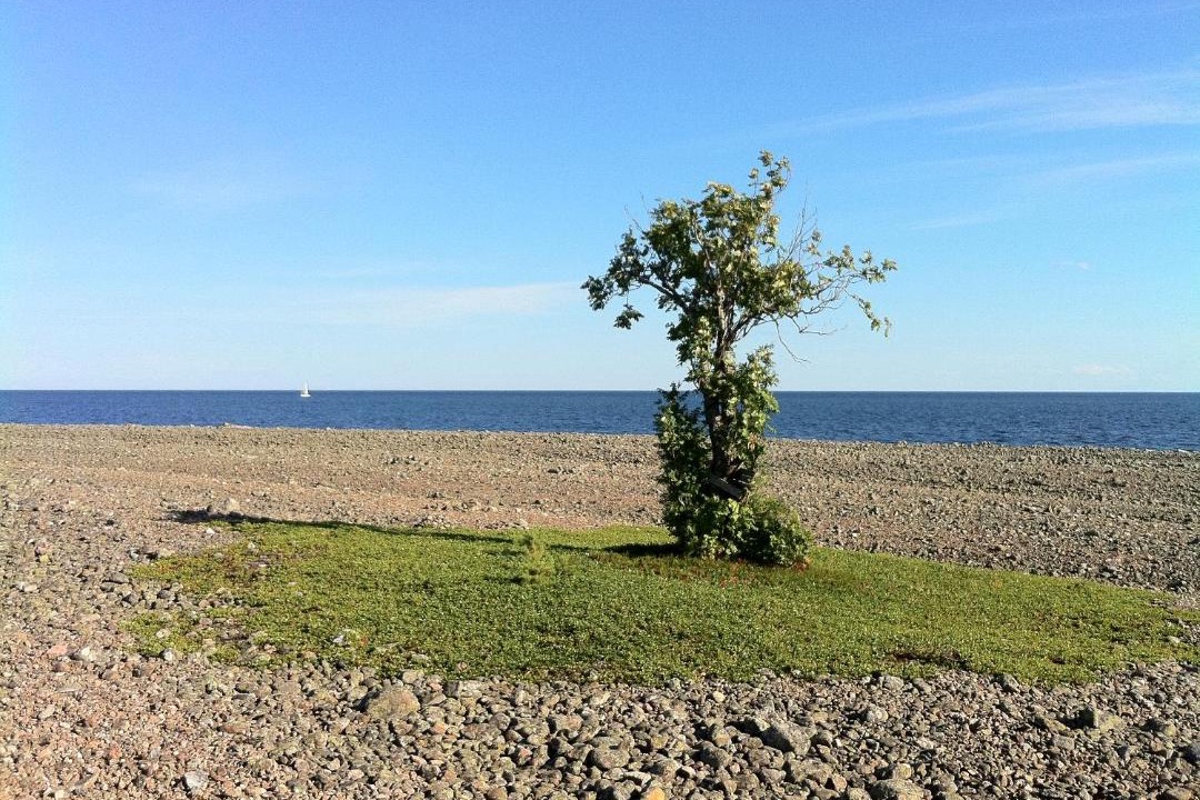 Photo of Others in Hudiksvall