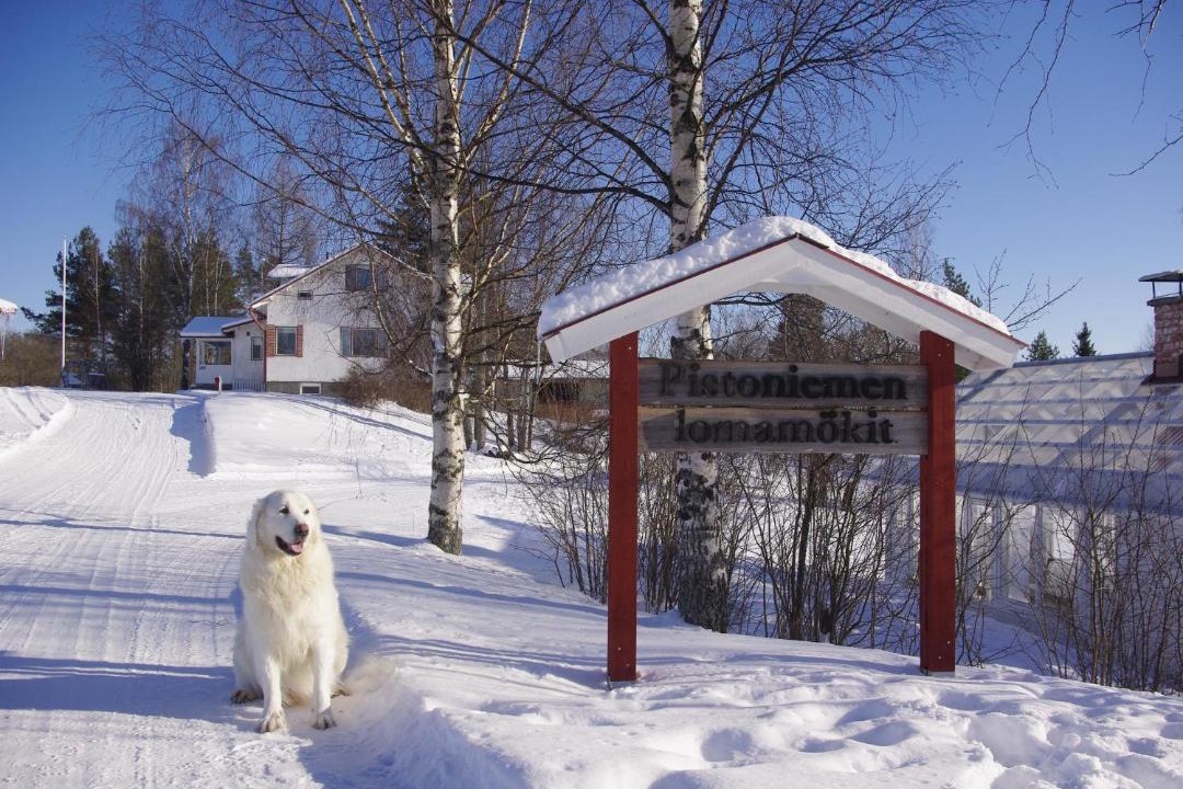 Photo of Others in Parikkala