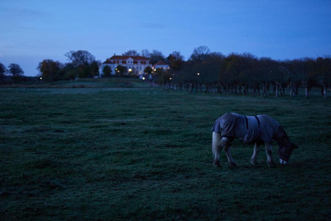 Photo of Others in Lycke