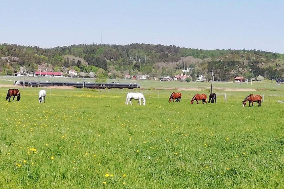 Photo of Others in Kungsbacka