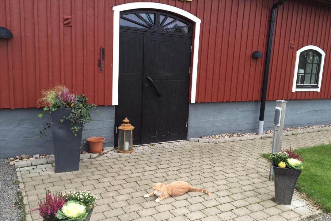 Photo of Others in Bastad