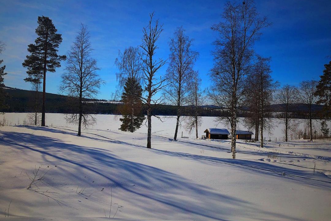 Photo of Others in Ytterhogdal