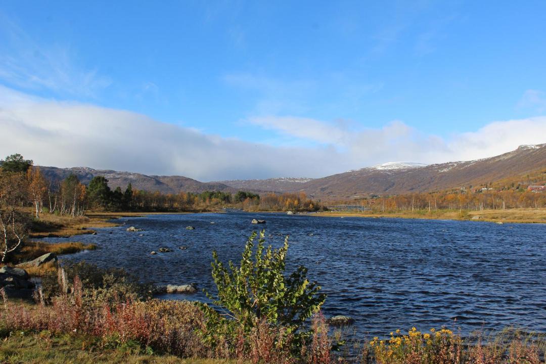 Photo of Others in Geilo