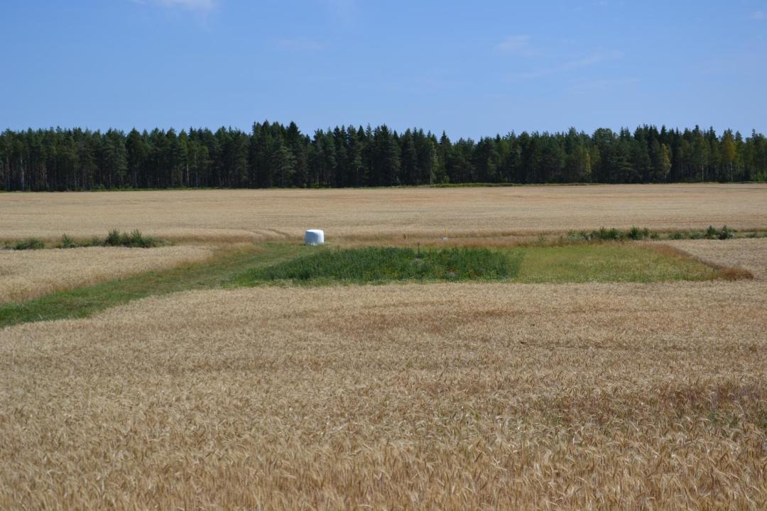 Photo of Others in Saffle
