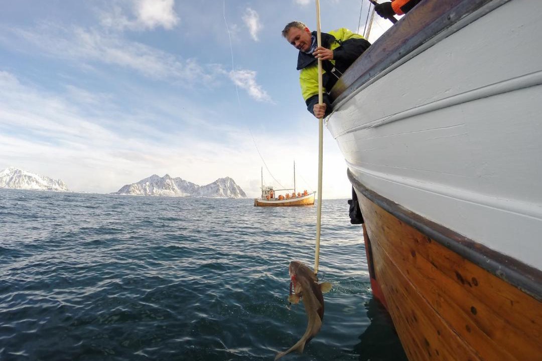 Photo of Others in Svolvaer