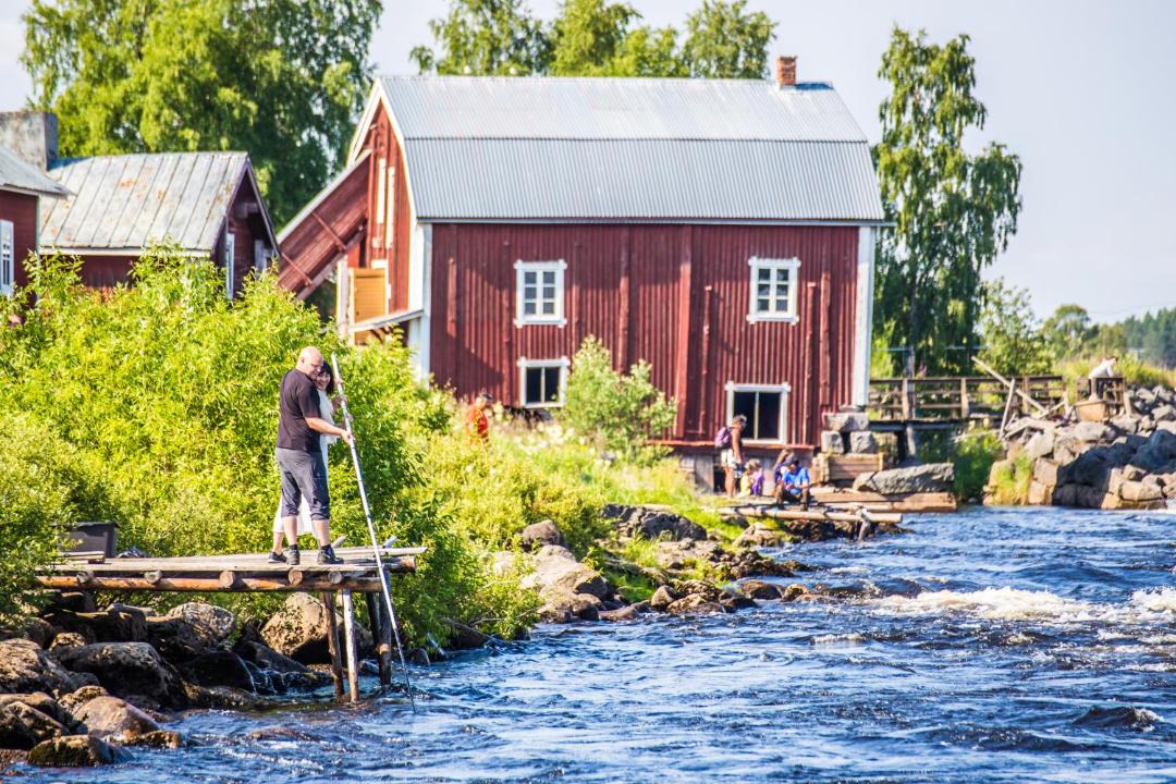 Photo of Others in Haparanda