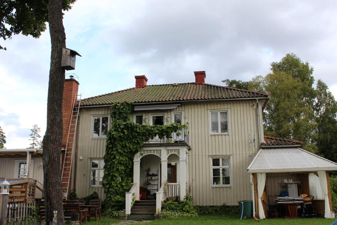 Photo of Others in Sunne