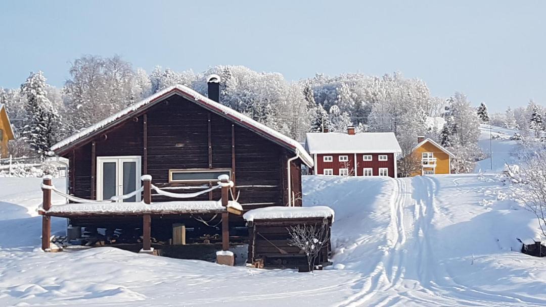 Photo of Buildings in Kalarne