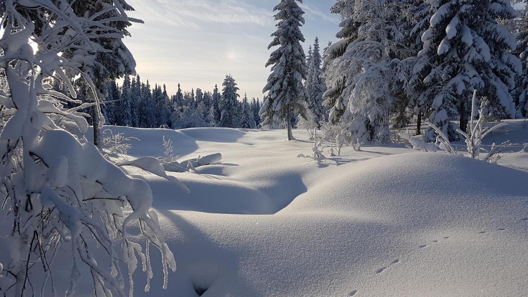 Photo of Outdoor in Kalarne