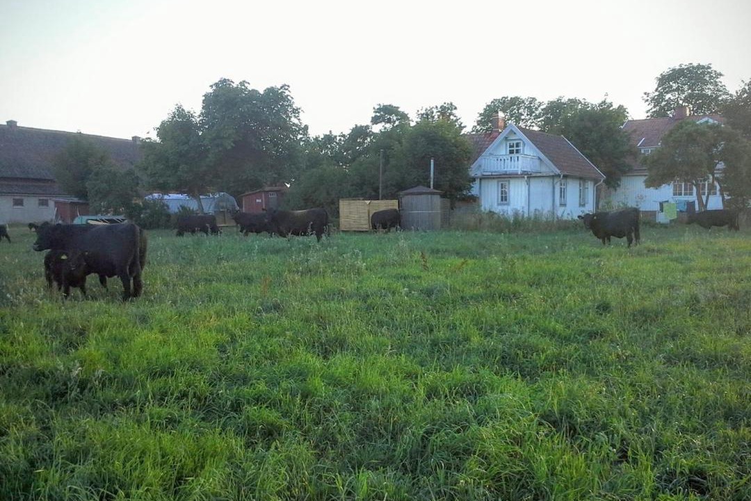 Photo of Others in Orranas