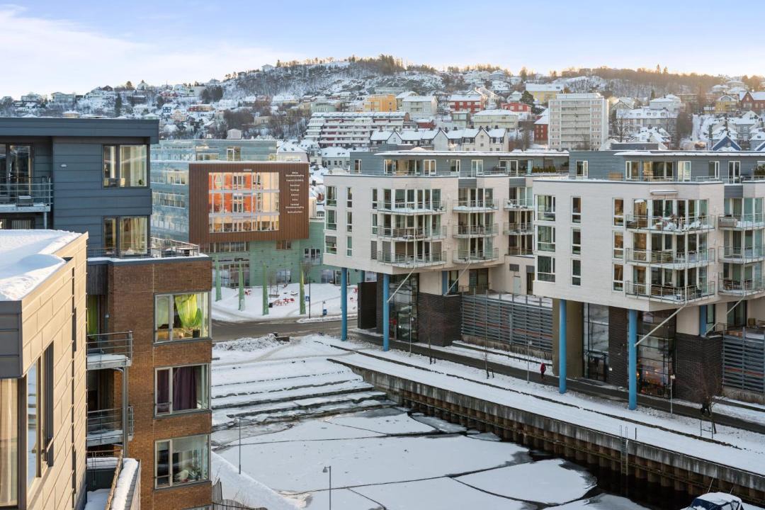 Photo of Others in Trondheim