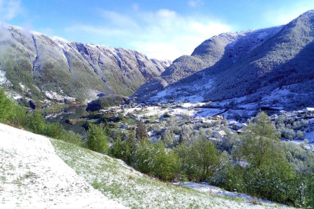 Photo of Others in Brekke