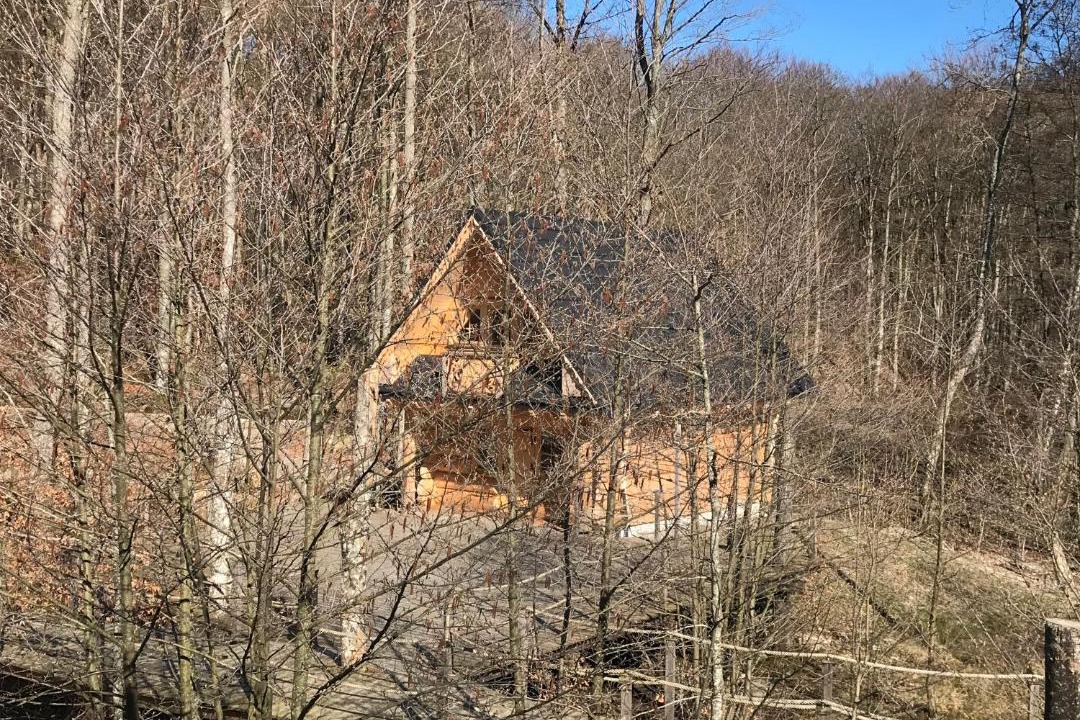 Photo of Others in Steninge