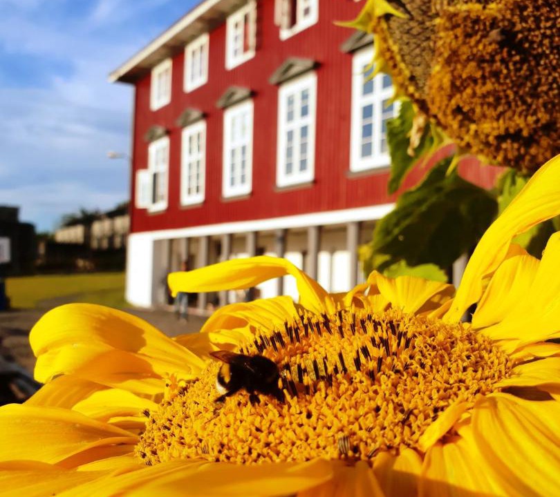 Photo of Others in Oslo
