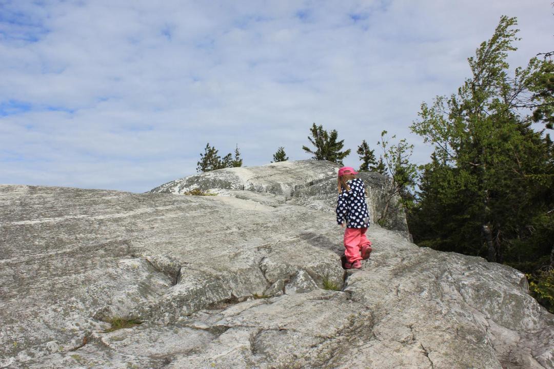 Photo of Others in Koli National Park