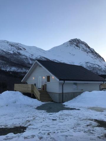 Photo of Others in Lyngen