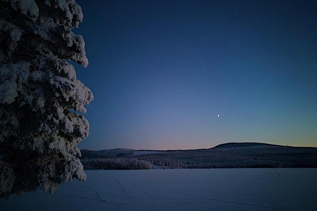 Photo of Others in Ytterhogdal