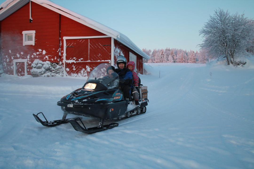 Photo of Others in Koli National Park