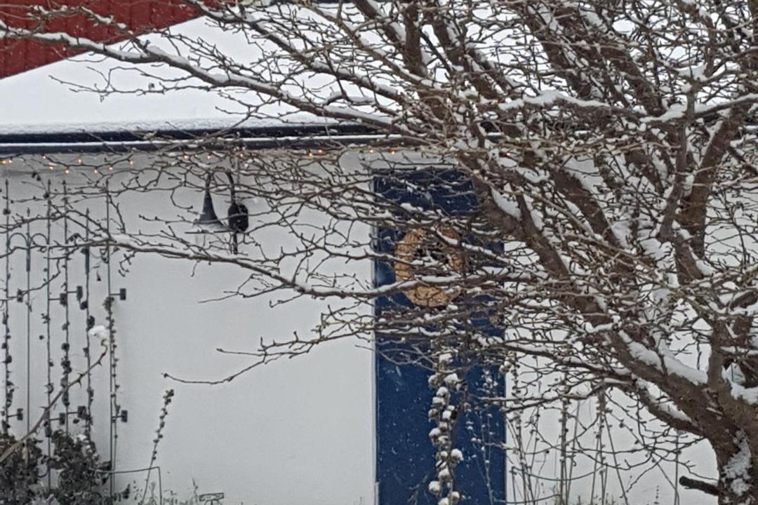 Photo of Others in Karlshamn