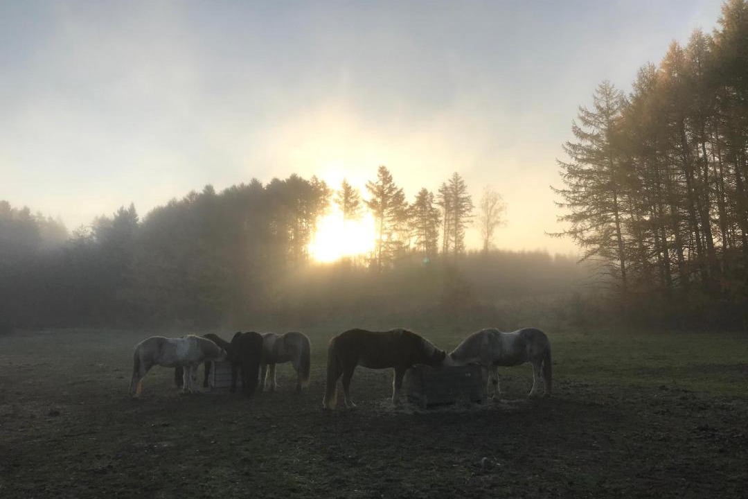 Photo of Others in Andrarum