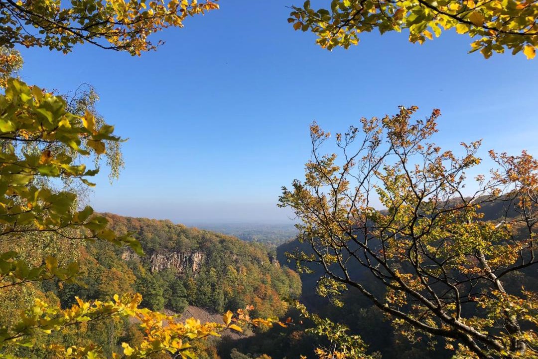 Photo of Outdoor in Ljungbyhed