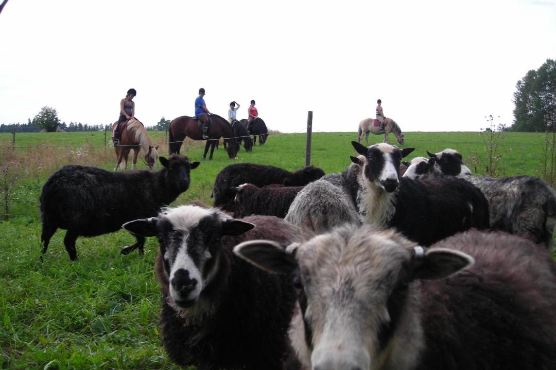Photo of Others in Stratjara