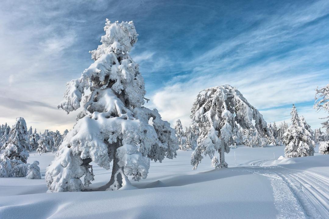 Photo of Others in Vikersund