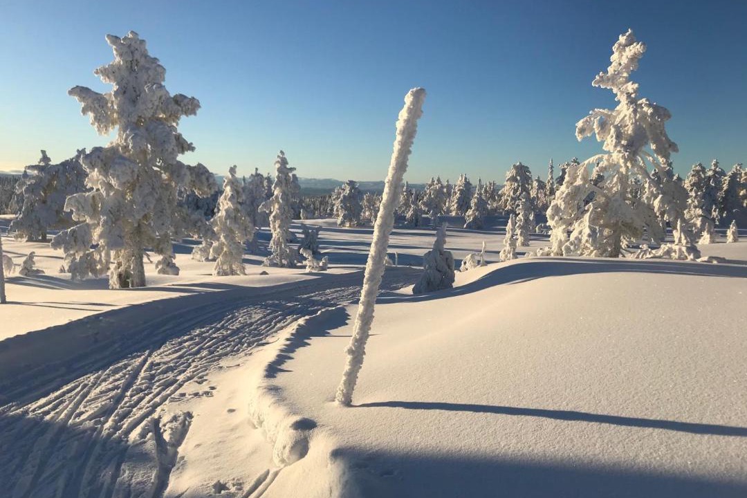 Photo of Others in Vikersund