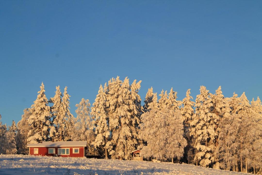 Photo of Others in Koli National Park