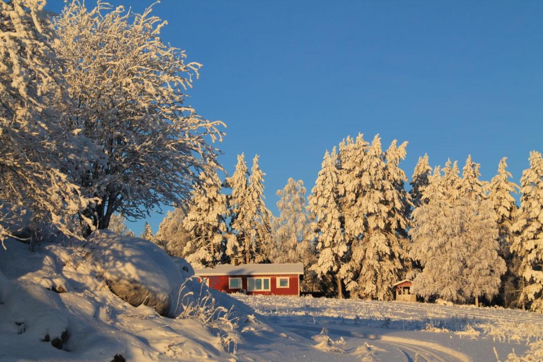 Photo of Others in Koli National Park