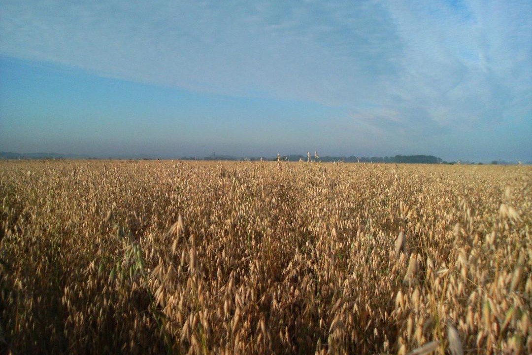 Photo of Outdoor in Vreta Kloster