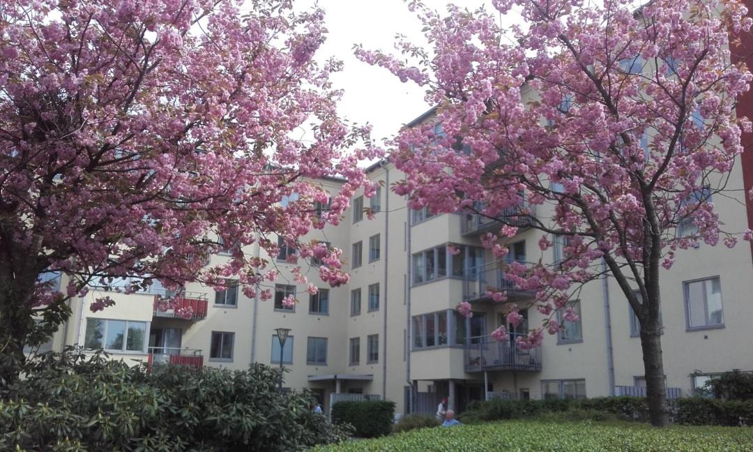 Photo of Buildings in Halmstad