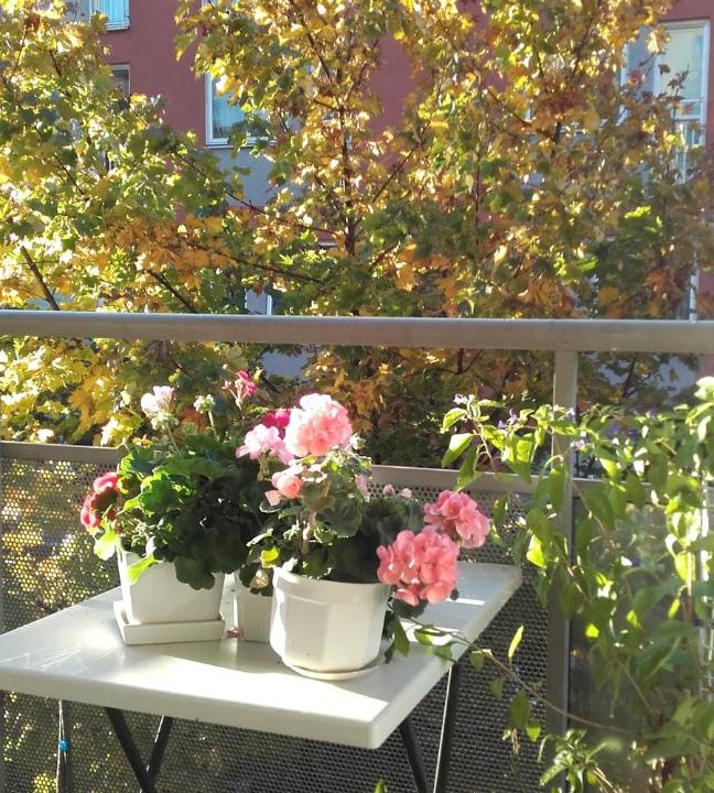 Photo of Patio Balcony in Halmstad
