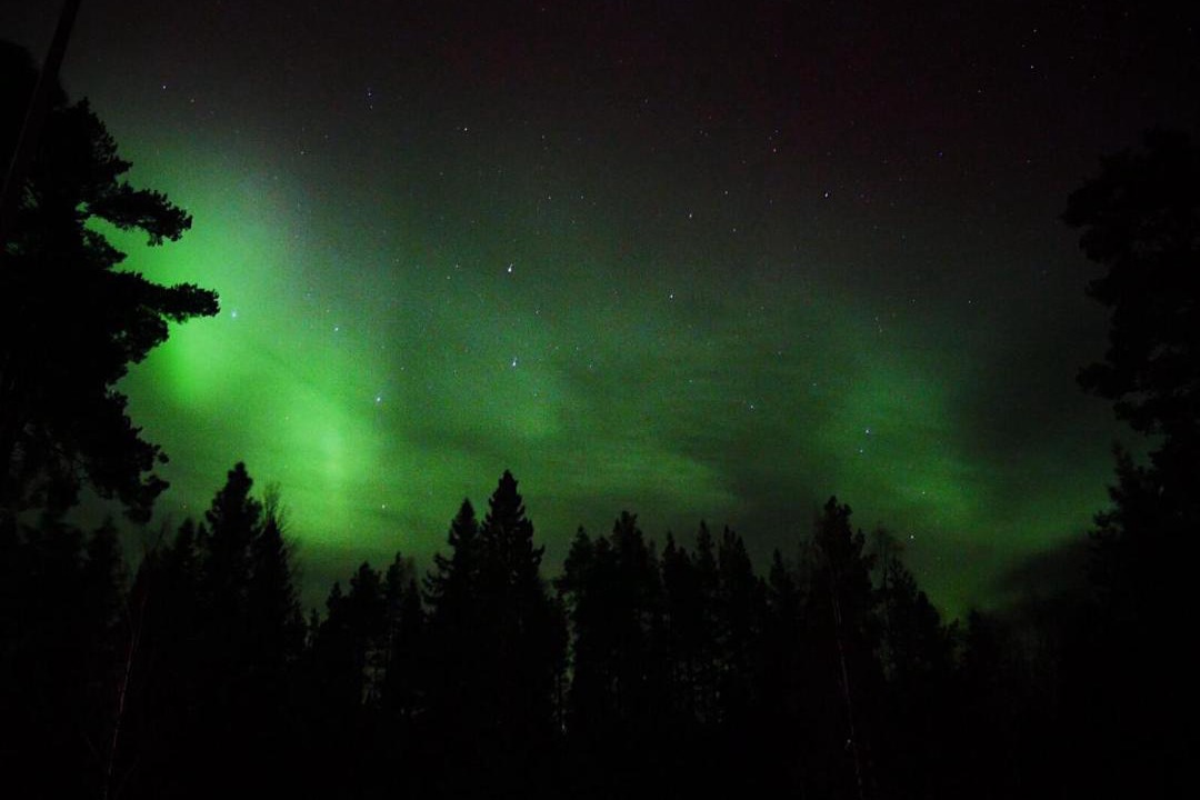 Photo of Others in Ytterhogdal