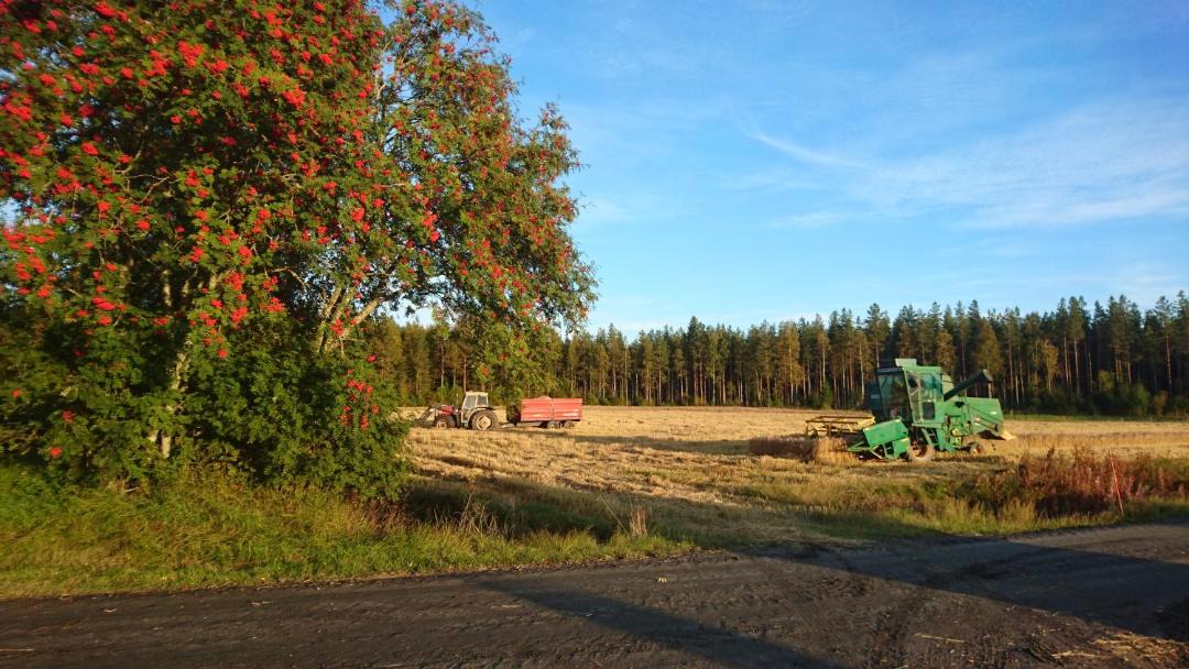 Photo of Others in Peraseinajoki