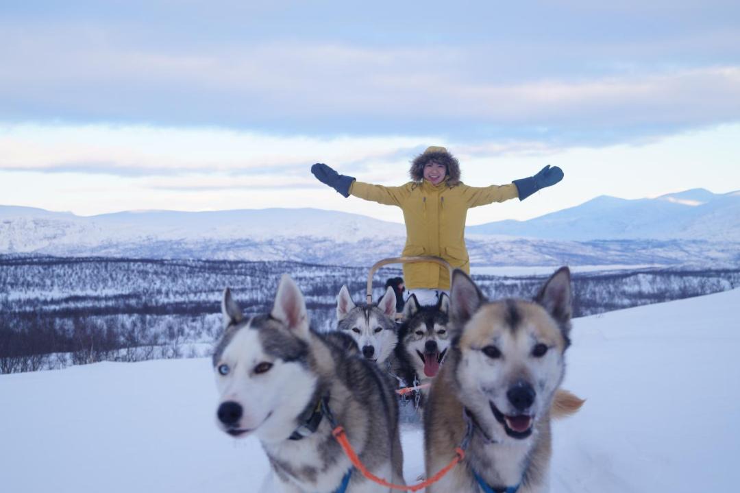 Photo of Others in Abisko