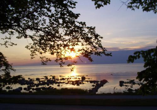 Photo of Others in Visby