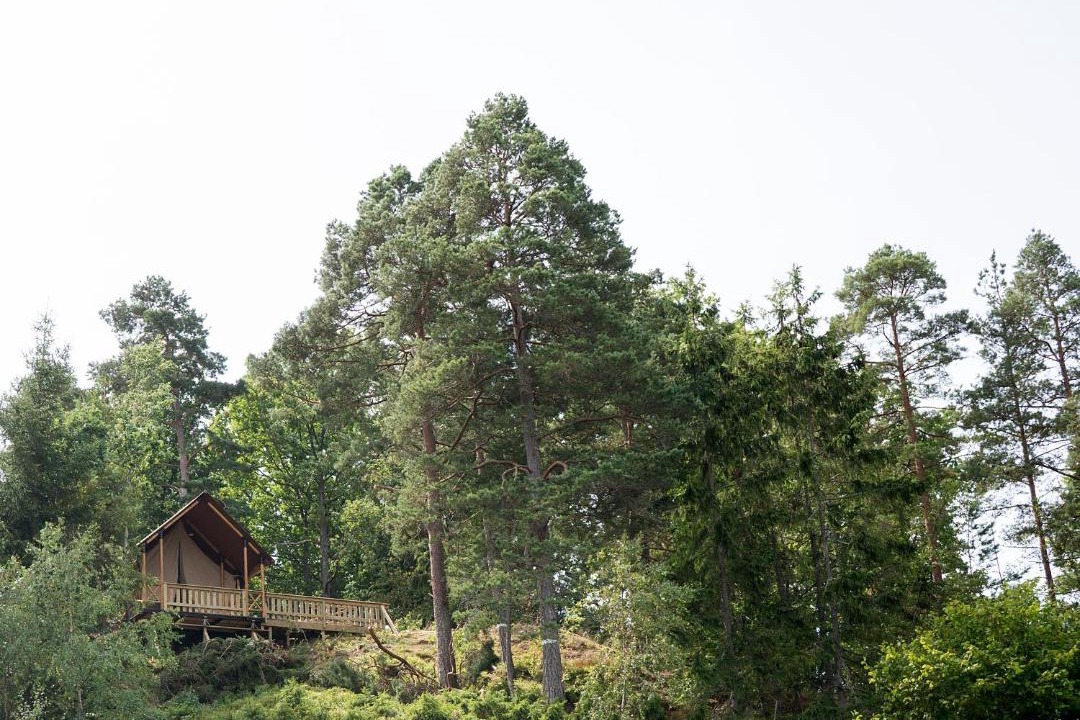 Photo of Others in Ljungskile