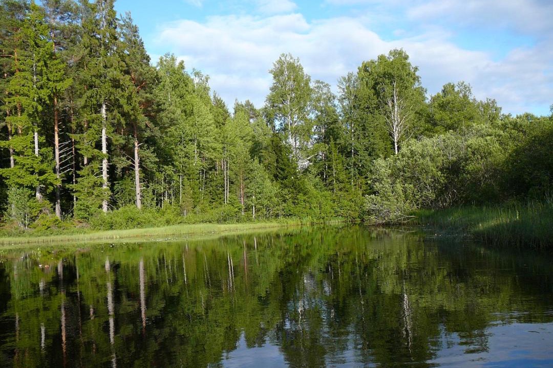 Photo of Outdoor in Lonneberga