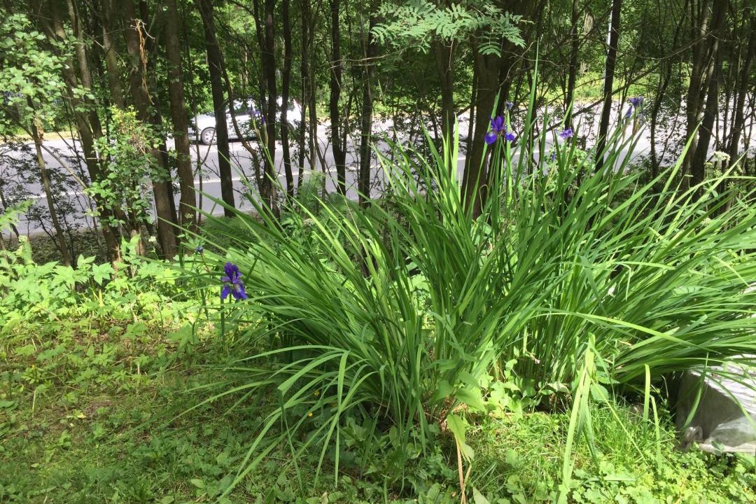 Photo of Outdoor in Domsjo