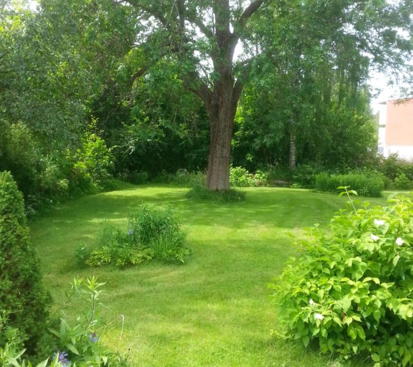 Photo of Outdoor in Sunnansjo