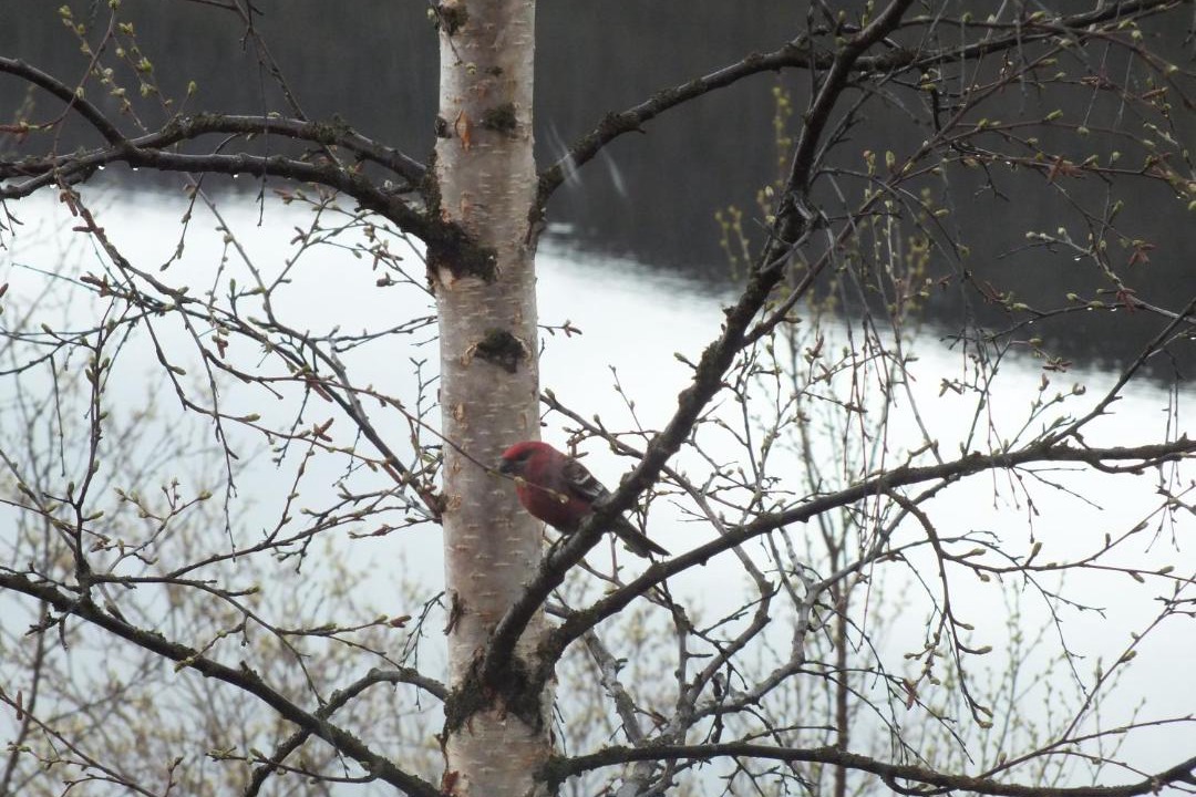 Photo of Others in Utsjoki