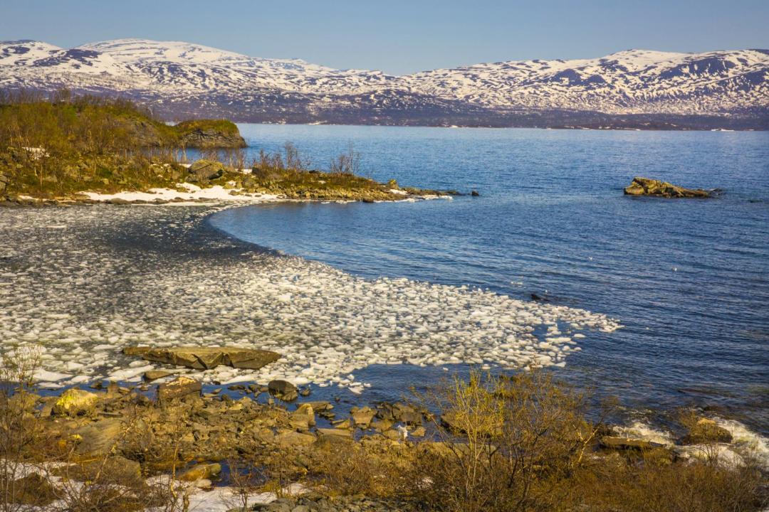 Photo of Others in Abisko