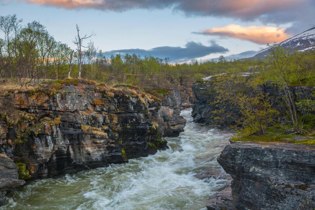 Photo of Others in Abisko