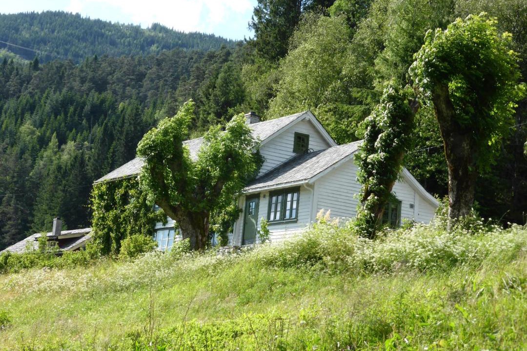 Photo of Others in Bolstadoyri